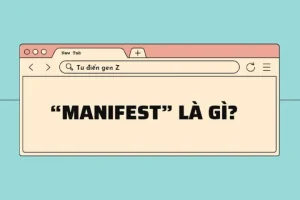 Manifest và tác động tích cực tại Việt Nam