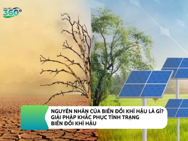 NGUYÊN NHÂN CỦA BIẾN ĐỔI KHÍ HẬU LÀ GÌ? GIẢI PHÁP KHẮC PHỤC TÌNH TRẠNG BIẾN ĐỔI KHÍ HẬU