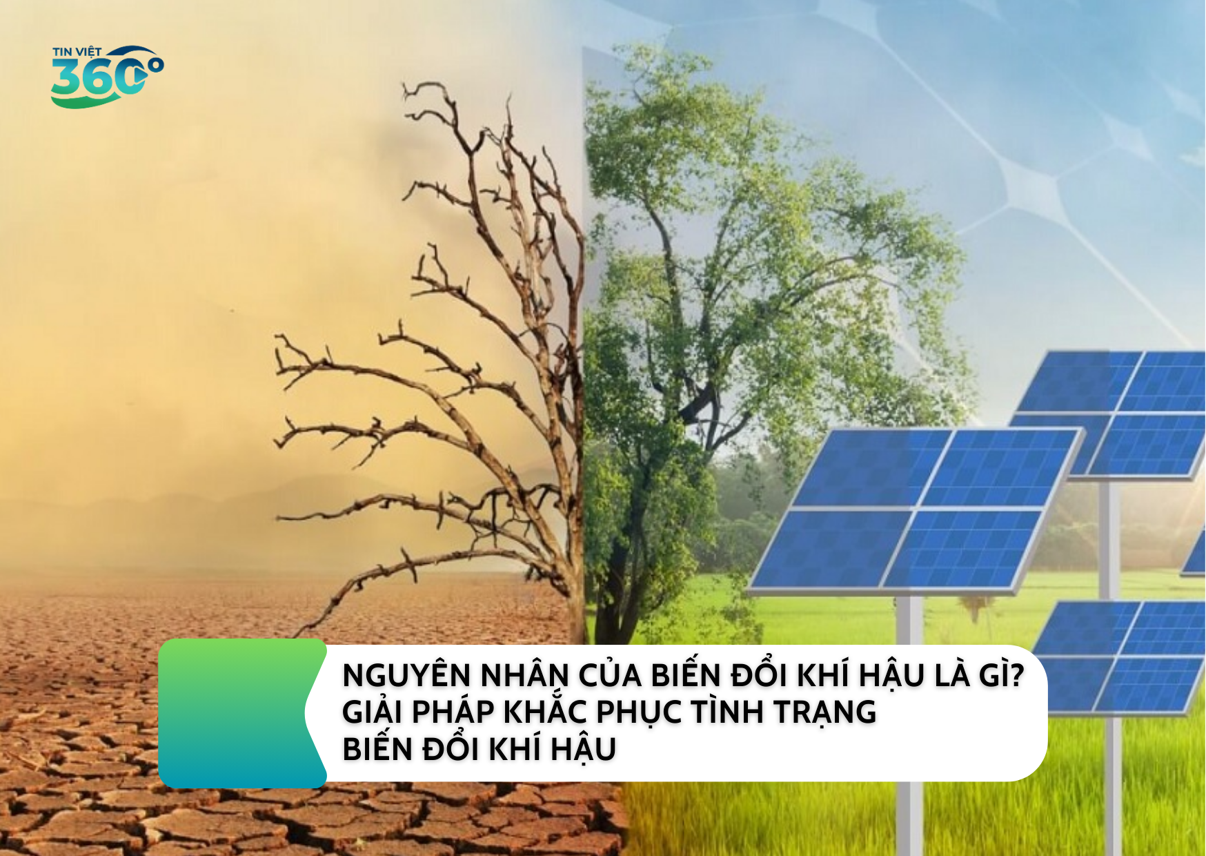 NGUYÊN NHÂN CỦA BIẾN ĐỔI KHÍ HẬU LÀ GÌ? GIẢI PHÁP KHẮC PHỤC TÌNH TRẠNG BIẾN ĐỔI KHÍ HẬU