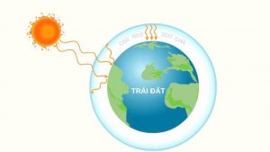Thế Nào Là Hiệu Ứng Nhà Kính?
