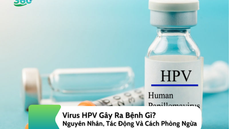 Virus HPV Gây Ra Bệnh Gì? Nguyên Nhân, Tác Động Và Cách Phòng Ngừa